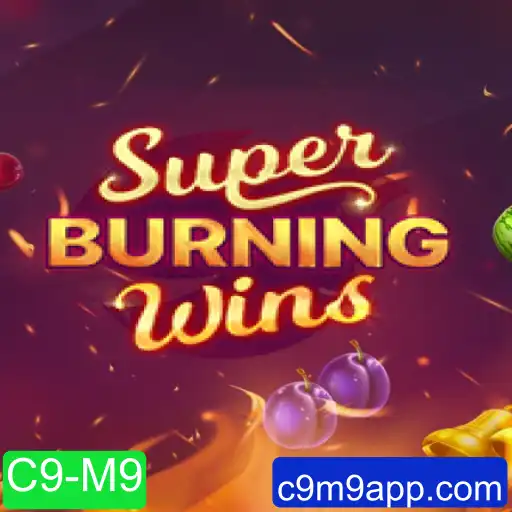 Explorando o Dinâmico Mundo de SuperBurningWins: Uma Experiência de Jogo Inesquecível